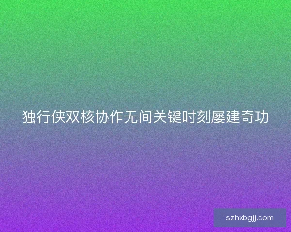 独行侠双核协作无间关键时刻屡建奇功