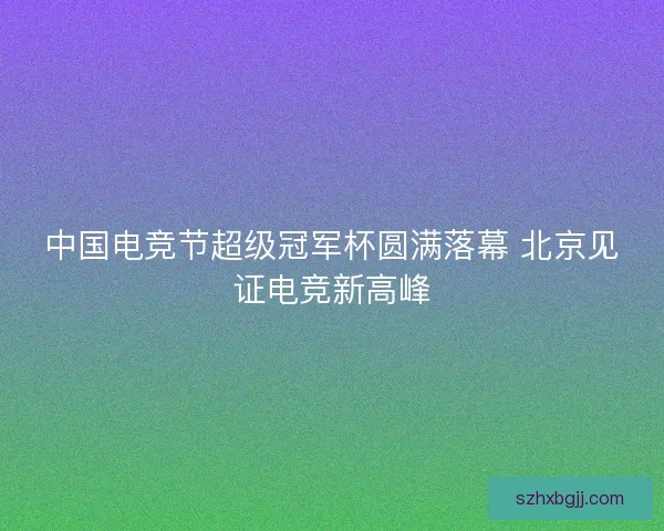 中国电竞节超级冠军杯圆满落幕 北京见证电竞新高峰