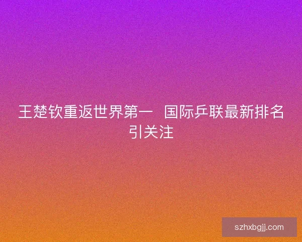 王楚钦重返世界第一  国际乒联最新排名引关注