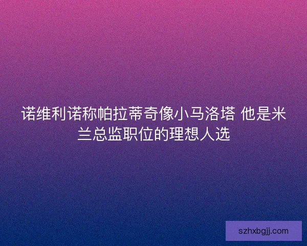 诺维利诺称帕拉蒂奇像小马洛塔 他是米兰总监职位的理想人选