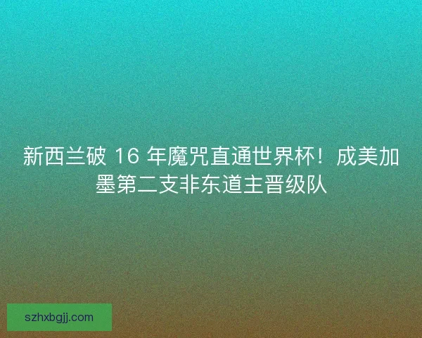 新西兰破 16 年魔咒直通世界杯！成美加墨第二支非东道主晋级队